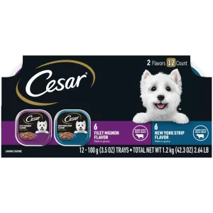 12 Pack CESAR Wet Dog Food Filets in Gravy Filet Mignon New York Strip Flavors Variety Pack 3 5 oz Easy Peel Trays 10d04330 b949 4806 b9e2 bede85d6b596.a44accf449825b2adb375c3dbf1a106a
