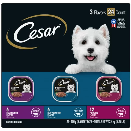 24 Pack CESAR Wet Dog Food Filets in Gravy Filet Mignon New York Strip and Prime Rib Flavors Variety Pack 3 5 oz Easy Peel Trays 2fbc5fcf f241 4336 8271 7273750c4b10.671beac744f09dbf11933d2d9f3b4a5d