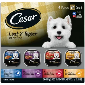 CESAR Wet Dog Food Loaf in Sauce Rotisserie Chicken Filet Mignon Angus Beef and Ham Egg Flavors Variety Pack 24 3 5 oz Trays 93f8c2a0 29f7 4072 bc9f 82621ced38e1.d91ca0fbad1810e507e0b052cc32288a