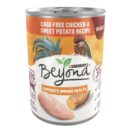 Purina Beyond Supprot Immune Health Wet Dog Food 12 5 oz Cans 12 Pack 74bc67b6 d05c 4589 8af6 4c50810e6625.04f0e901416df41a93f0644ac0615688